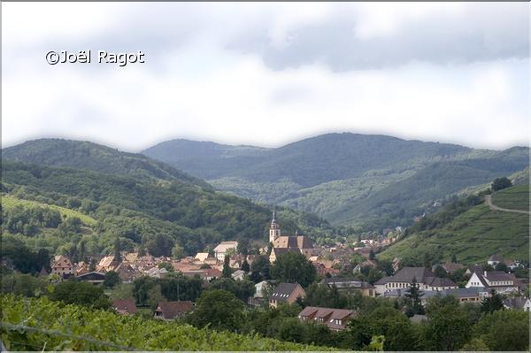 andlau 6
