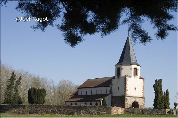 DOMPETER AVOLSHEIM ALSACE