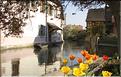 EBERSMUNSTER ALSACE (1)