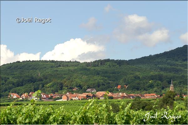HELLINGENBERG ALSACE
