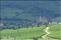 MITELBERGHEIM ALSACE 1