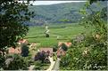 MITELBERGHEIM ALSACE 2