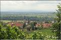 MITELBERGHEIM ALSACE 3