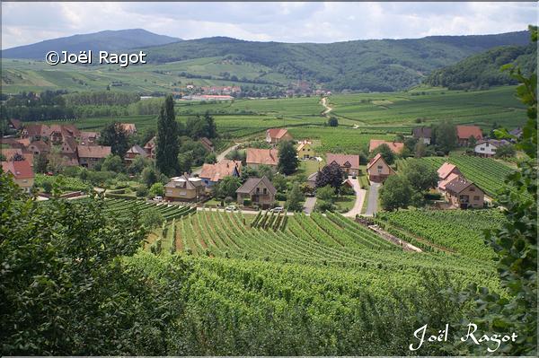MITELBERGHEIM ALSACE 4