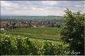 MITELBERGHEIM ALSACE 5