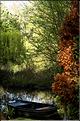 OSTWALD ALSACE (1)