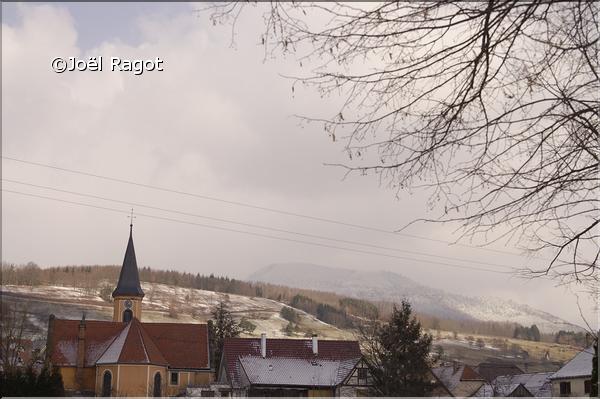 PAYSAGE D'ALSACE HIVERNAL
