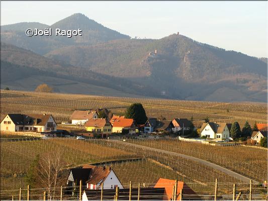PAYSAGE DU HAUT-RHIN ALSACE (1)