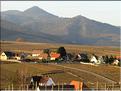 PAYSAGE DU HAUT-RHIN ALSACE (1)