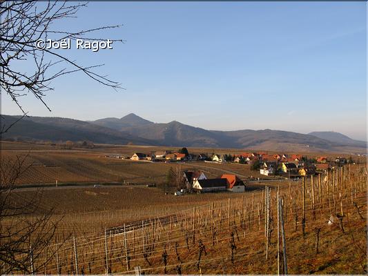 PAYSAGE DU HAUT-RHIN ALSACE (2)