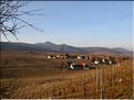 PAYSAGE DU HAUT-RHIN ALSACE (2)