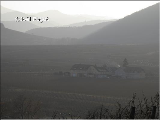 PAYSAGE DU HAUT-RHIN ALSACE (4)