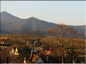 PAYSAGE DU HAUT-RHIN ALSACE (5)