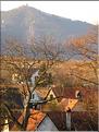 PAYSAGE DU HAUT-RHIN ALSACE (6)