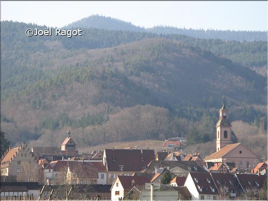 PAYSAGE DU HAUT-RHIN ALSACE