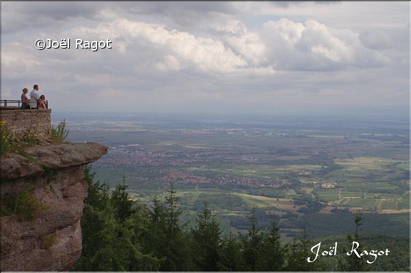 PAYSAGE DU MONT SAINTE ODILE ALSACE 2