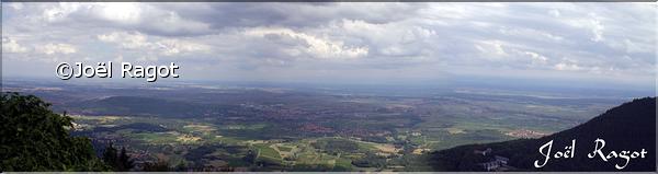 PAYSAGE DU MONT SAINTE ODILE ALSACE