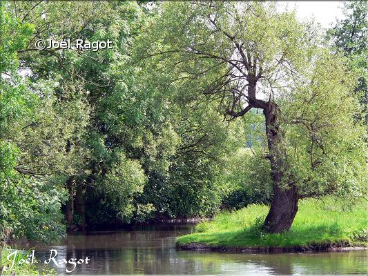 PAYSAGE