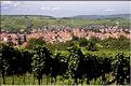PLAINE D'ALSACE