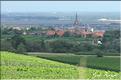 UN PAYSAGE D'ALSACE