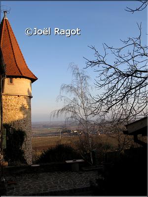 zellenberg 2